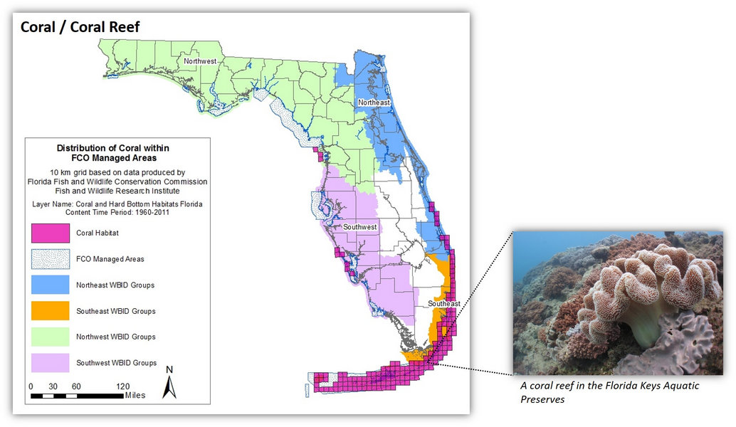 In House Graphic Map Of The Distribution Of Coral Reefs Within FCO Managed Areas FDEP Staff 